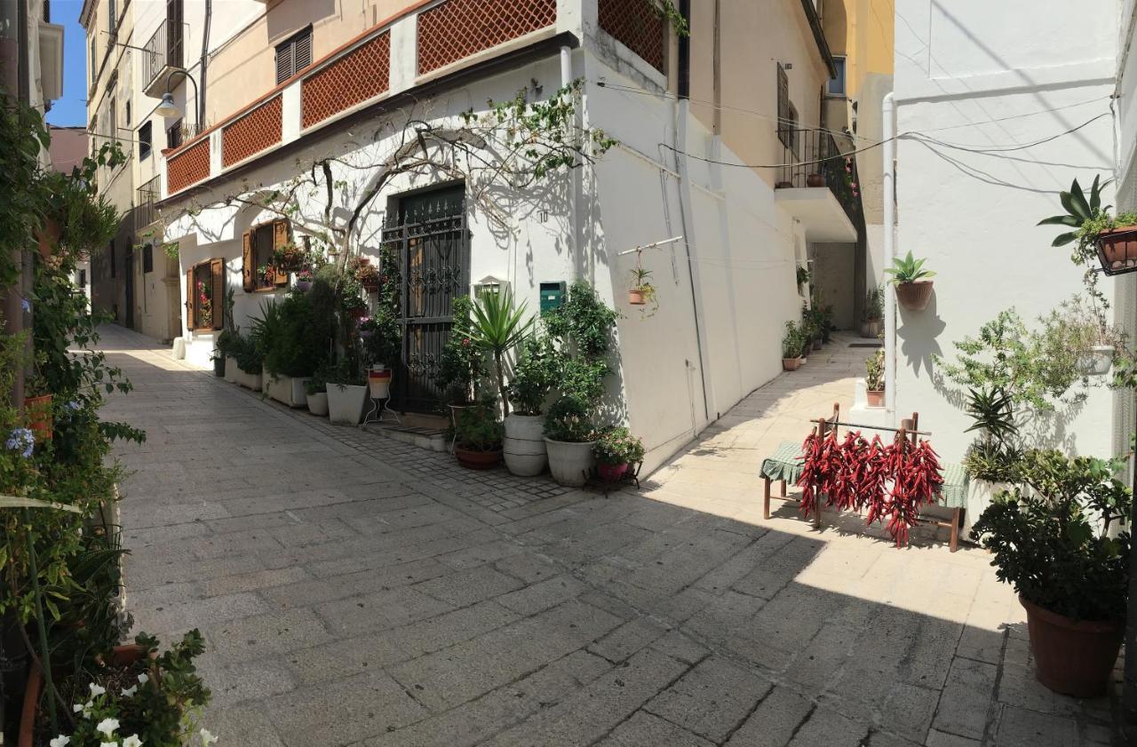 La Gemma Nel Borgo B&B 泰尔莫利 外观 照片